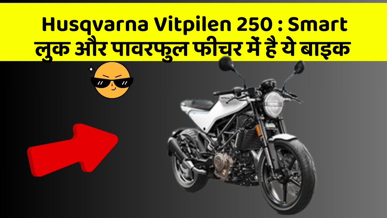 Husqvarna Vitpilen 250: Smart लुक और पावरफुल फीचर में है ये बाइक